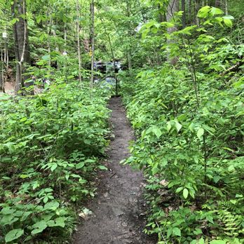Tioga Falls Trail - Hiking Near Me - West Point, Kentucky