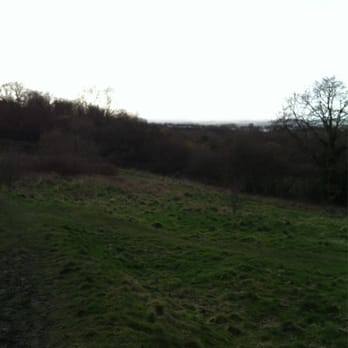 Barrow Hill Nature Reserve - Parks Near Me - West Mids, XWM