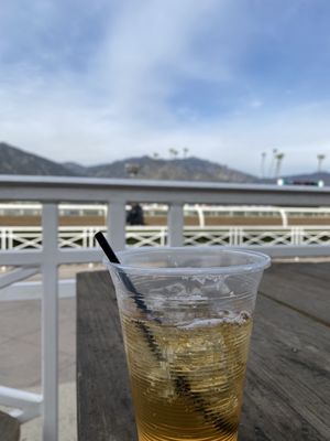 Santa Anita Park by null