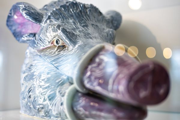 Chuck Williams Culinary Arts Museum by null