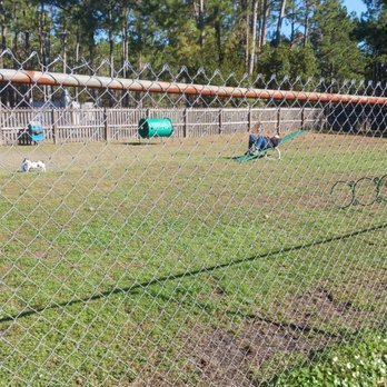 Walton County Dog Park - Small dog park - Dog Parks Near Me - Santa Rosa Beach, Florida