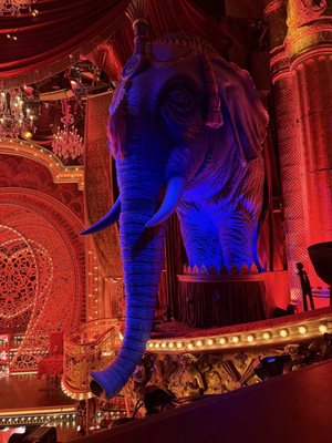 Moulin Rouge! The Musical by null