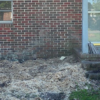 Prime Time Stump Grinding - Tree Services Near Me Prime Time Stump Grinding - Tree Services Near Me