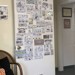 Bruce Hall Chiropractic - Comic wall
