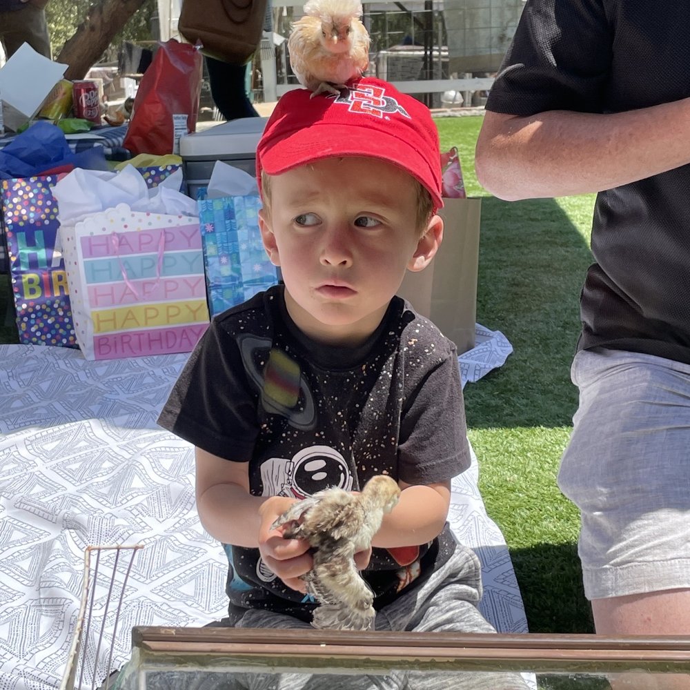 Cindy Lu's Petting Zoo - Bird on his head - Petting Zoos Near Me Cindy Lu's Petting Zoo - Bird on his head - Petting Zoos Near Me