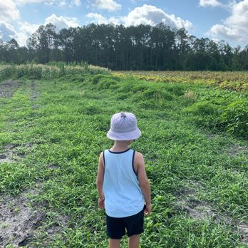 Wesley Wells Farm - Fresh produce you can pick! - Pick Your Own Farms Near Me - St. Augustine, Florida