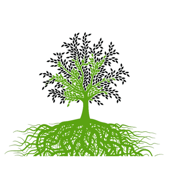 Going Green Seacoast Landscaping - a tree with roots - Landscaping Near Me - North Hampton, New Hampshire Going Green Seacoast Landscaping - a tree with roots - Landscaping Near Me - North Hampton, New Hampshire