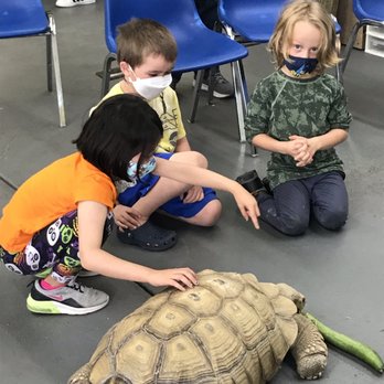 My Nature Lab - Educational Services Near Me - Louisville, Colorado My Nature Lab - Educational Services Near Me - Louisville, Colorado