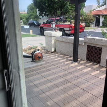 Tree Dominators - After - Landscaping Near Me