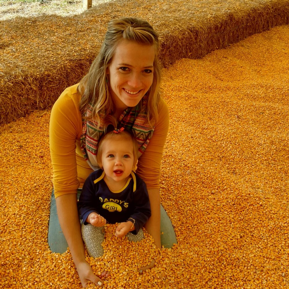 Sever's Corn Maze & Fall Festival - Festivals Near Me - Shakopee, Minnesota Sever's Corn Maze & Fall Festival - Festivals Near Me - Shakopee, Minnesota