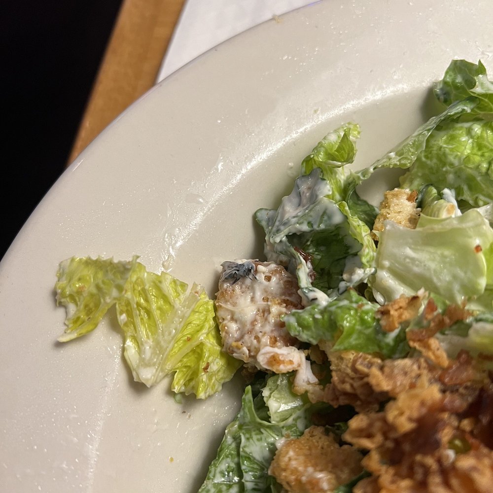 Texas Roadhouse - Fly in my food - Steakhouses Near Me - Bear, Delaware Texas Roadhouse - Fly in my food - Steakhouses Near Me - Bear, Delaware