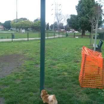 Eden Greenway Dog Park - my little ophie enjoying this park. - Dog Parks Near Me - Hayward, California