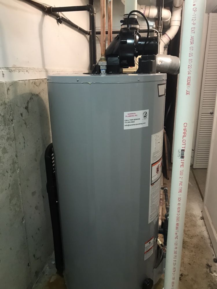 Slide of Narwhal Plumbing