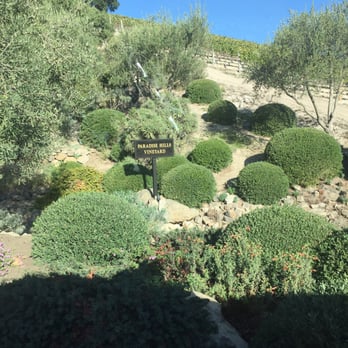 Blankiet Estate - Wineries Near Me - Yountville, California