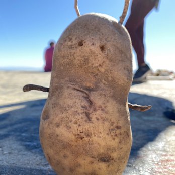 Potato Mountain - Hiking Near Me - Claremont, California