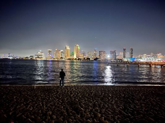 Coronado Ferry Landing by null