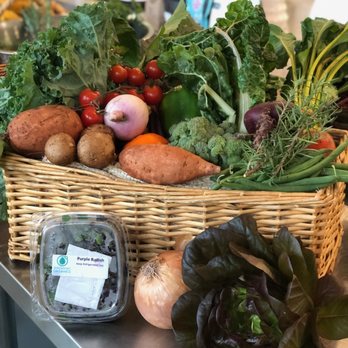 Central City Co-Op - We feature local farmers in our weekly Fresh Harvest shares. The shares are flexible, you order the size you want each week! - Grocery Near Me - Houston, Texas Central City Co-Op - We feature local farmers in our weekly Fresh Harvest shares. The shares are flexible, you order the size you want each week! - Grocery Near Me - Houston, Texas