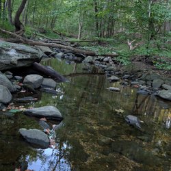 Patapsco Valley State Park - Hilton Area - Saw Mill Branch