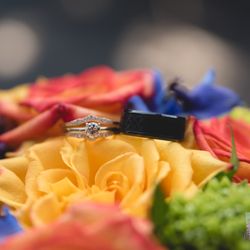 The Pic Chick - Wedding Rings