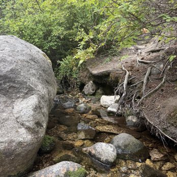 Blodgett Canyon - Those creek is called Canyon Creek and is next to the parking lot. Great spot to cool off. - Hiking Near Me - Hamilton, Montana Blodgett Canyon - Those creek is called Canyon Creek and is next to the parking lot. Great spot to cool off. - Hiking Near Me - Hamilton, Montana