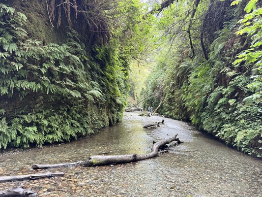 Gold Bluffs Beach Campground by null