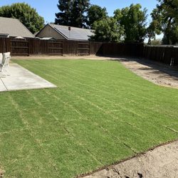 ASM Sprinkler & Landscaping Services - New sod & Sprinklers!! They will be back to landscape soon :)