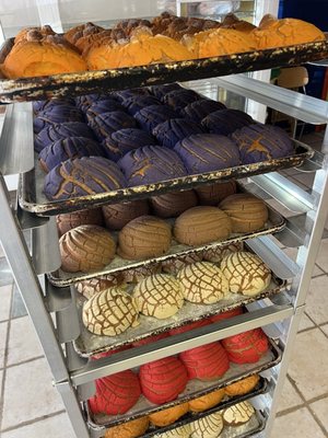 La Reyna Bakery & Coffee Shop by null