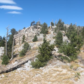 Bonanza Trail - The peak is on top of that limestone. - Hiking Near Me - Las Vegas, Nevada Bonanza Trail - The peak is on top of that limestone. - Hiking Near Me - Las Vegas, Nevada