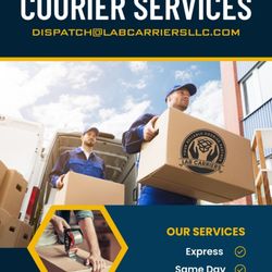 Same day delivery experts