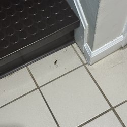 French Lick Springs Villa - Dead bugs in entrance