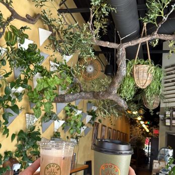 Roots juice and coffee bar - Coffee & Tea Near Me - Sterling Heights, Michigan Roots juice and coffee bar - Coffee & Tea Near Me - Sterling Heights, Michigan