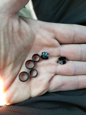 Boone's Feed by null