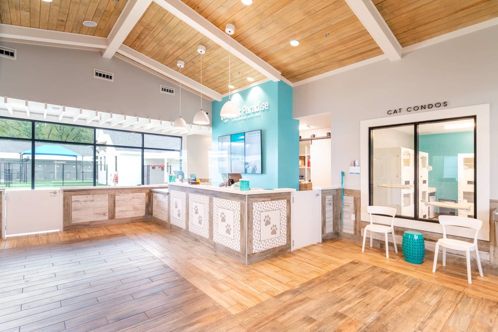 PET PARADISE SNELLVILLE 20 Photos Pet Boarding 2350 Scenic Hwy, Snellville, GA Phone