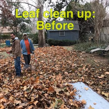 Integra Lawns - Leaf clean up in fort worth Tx - Landscaping Near Me - Fort Worth, Texas Integra Lawns - Leaf clean up in fort worth Tx - Landscaping Near Me - Fort Worth, Texas