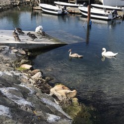 Mommark Marina