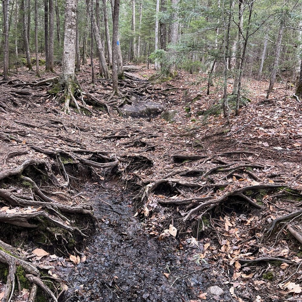 Franconia Notch State Park - When I tell you this is my heart. - Parks Near Me - Franconia, New Hampshire Franconia Notch State Park - When I tell you this is my heart. - Parks Near Me - Franconia, New Hampshire