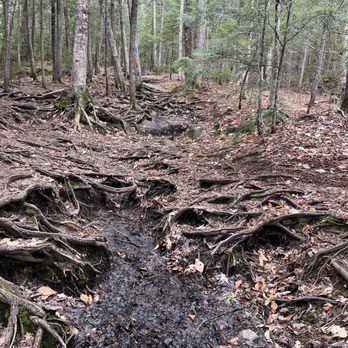 Franconia Notch State Park - When I tell you this is my heart. - Parks Near Me - Franconia, New Hampshire