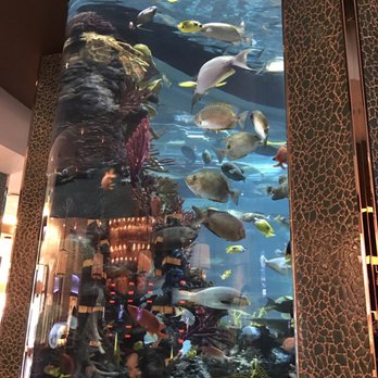 Chart House - Seafood Near Me - Las Vegas, Nevada Chart House - Seafood Near Me - Las Vegas, Nevada