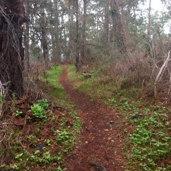 Jacks Peak County Park - One of the many trails - Parks Near Me - Monterey, California