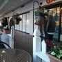 Photo of Little Hut Cafe