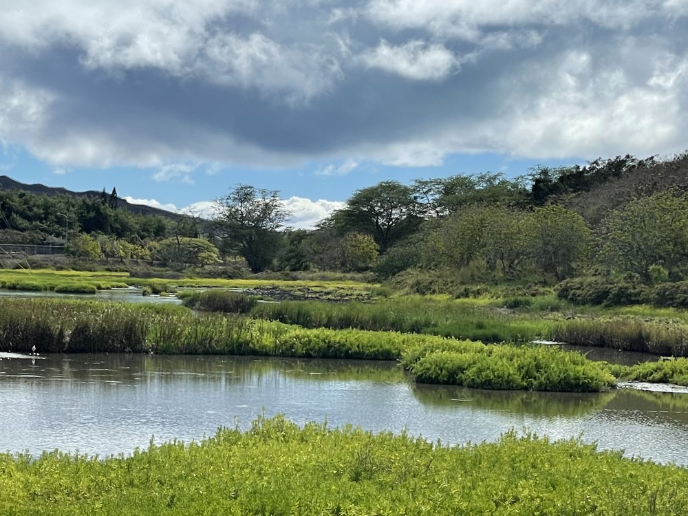 Healthy Climate Communities - social services organization in Kailua, HI