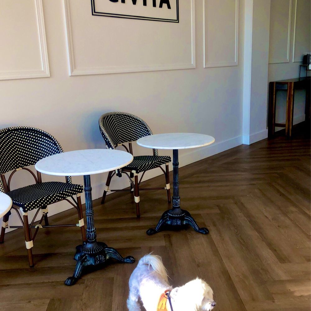 La Clochette - Currently, No outdoor seating but there's limited indoor seating and pup friendly - Bakeries Near Me - San Diego, California