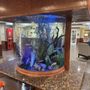 Photo of Comfort Suites Near Texas A&M - Corpus Christi