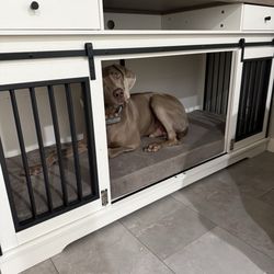 Clyde enjoying his new comfortable bed!