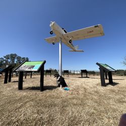 Aviation Park - Wiggy smalls with a plane