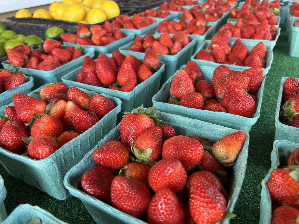 SKIPPER FARMS Updated October 2024 3640 Dam Neck Rd, Virginia Beach