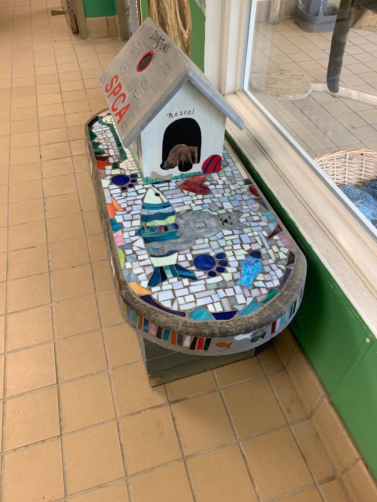 SPCA Updated September 2024 6160 County Road 32, Norwich, New York