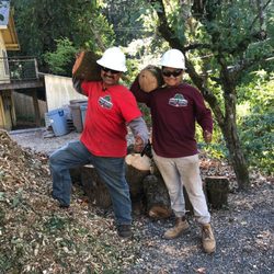 Familia Chavez Tree Care - Familia Chavez