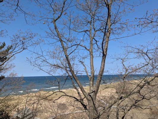 Rosy Mound Natural Area by null