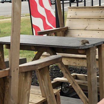Taffy's Hot Dog Stand - Porch swing glider with a cute bird on it. - Hot Dogs Near Me - Orchard Park, New York